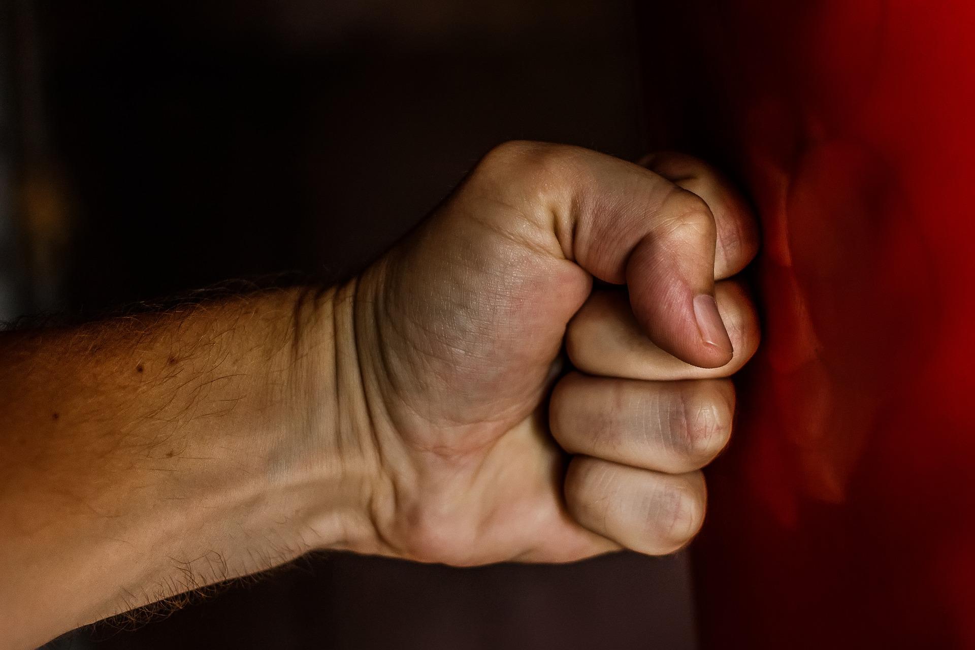 fist-g8c677cb9e_1920